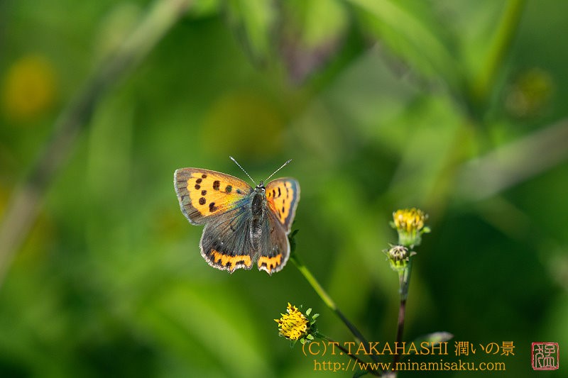 ../Images/7R241013 (462).jpg